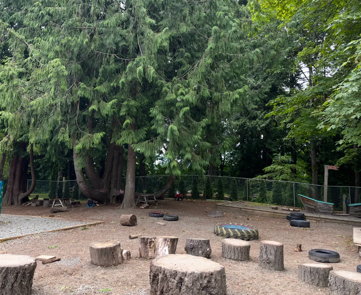 Forest nature-play area with tree-stump seating under big cedars