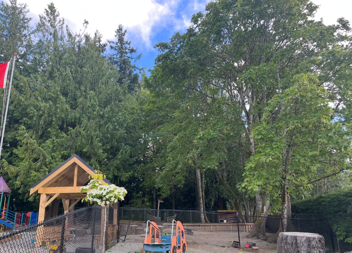 Our garden and outdoor play space beneath the trees